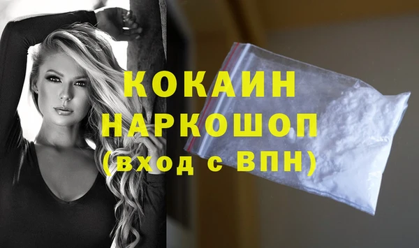 гашик Инсар