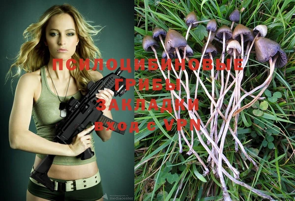 кокс Иннополис