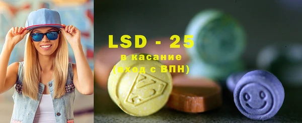 ПСИЛОЦИБИНОВЫЕ ГРИБЫ Инта