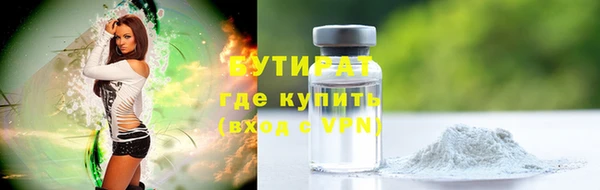 ПСИЛОЦИБИНОВЫЕ ГРИБЫ Инта
