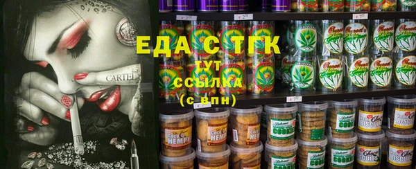гашик Инсар
