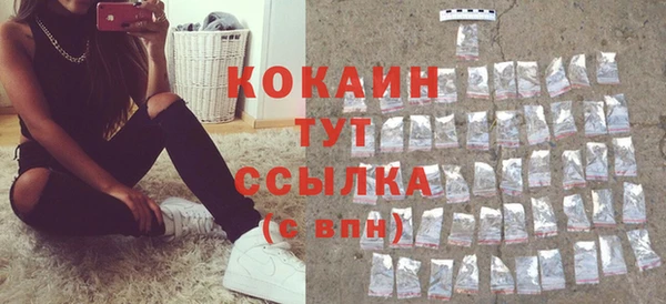 ПСИЛОЦИБИНОВЫЕ ГРИБЫ Инта