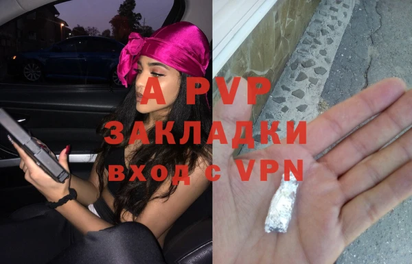 гашик Инсар