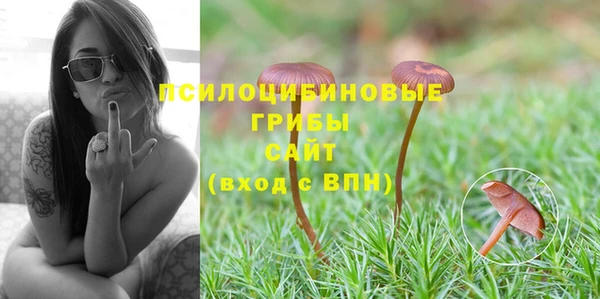 гашик Инсар