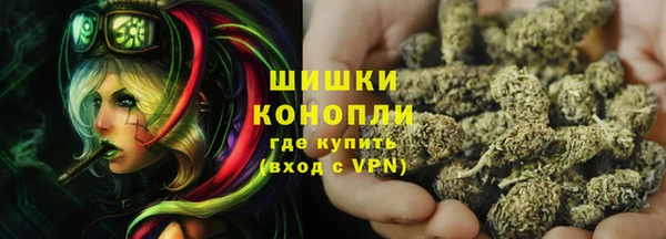 ПСИЛОЦИБИНОВЫЕ ГРИБЫ Инта