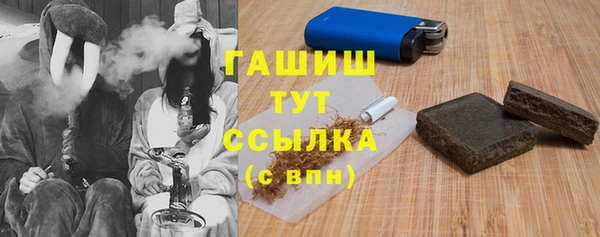 гашик Инсар