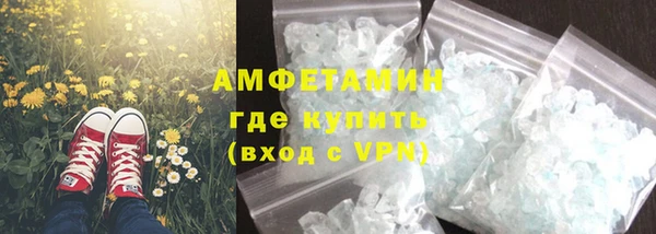 ПСИЛОЦИБИНОВЫЕ ГРИБЫ Инта