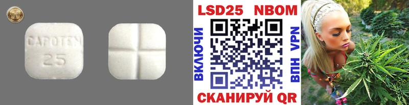 Купить закладки Оса LSD-25 экстази ecstasy