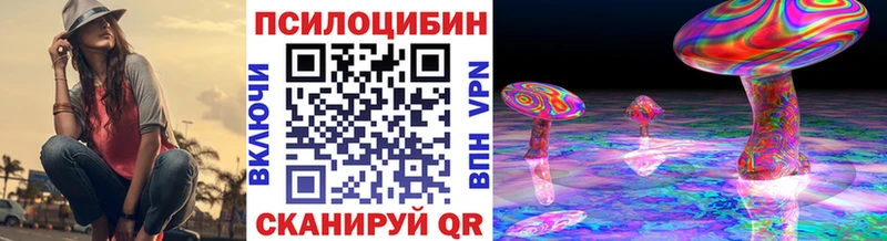 Купить где  Оса  Псилоцибиновые грибы GOLDEN TEACHER 